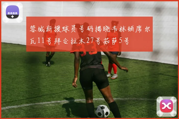 蓉城新援球员号码揭晓韦林顿席尔瓦11号拜合拉木27号茹萨5号