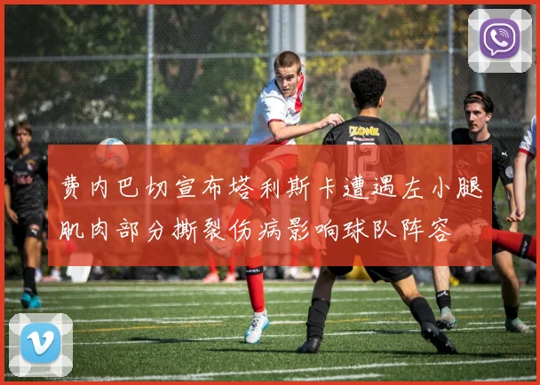 费内巴切宣布塔利斯卡遭遇左小腿肌肉部分撕裂伤病影响球队阵容