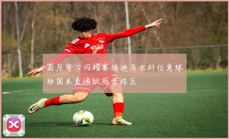 圆月弯刀闪耀赛场迪马尔科任意球助国米直通欧冠资格区