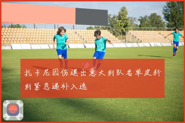扎卡尼因伤退出意大利队名单皮科利紧急递补入选
